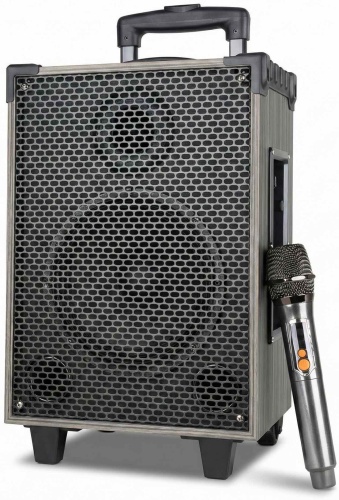Портативная колонка Brodu BTS-2228 черный, мультиколор
