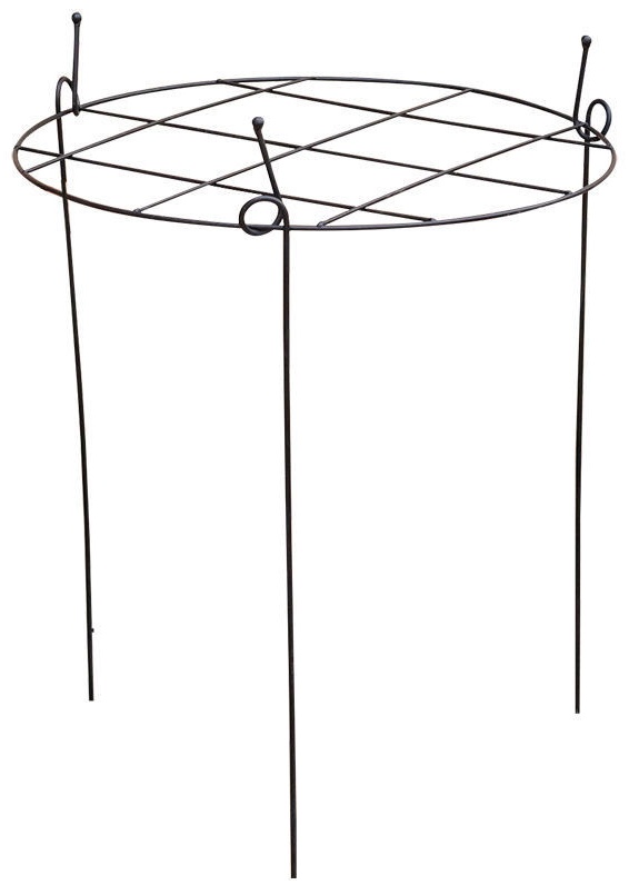 ASOMI кустодержатель Sh3, металл