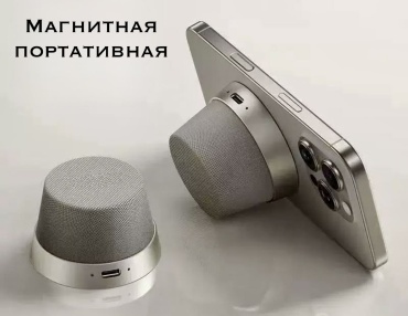 Портативная колонка GSS-201 бежевый, золотистый