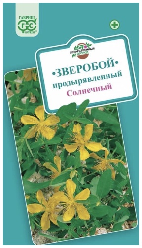 Гавриш зверобой Продырявленный Солнечный