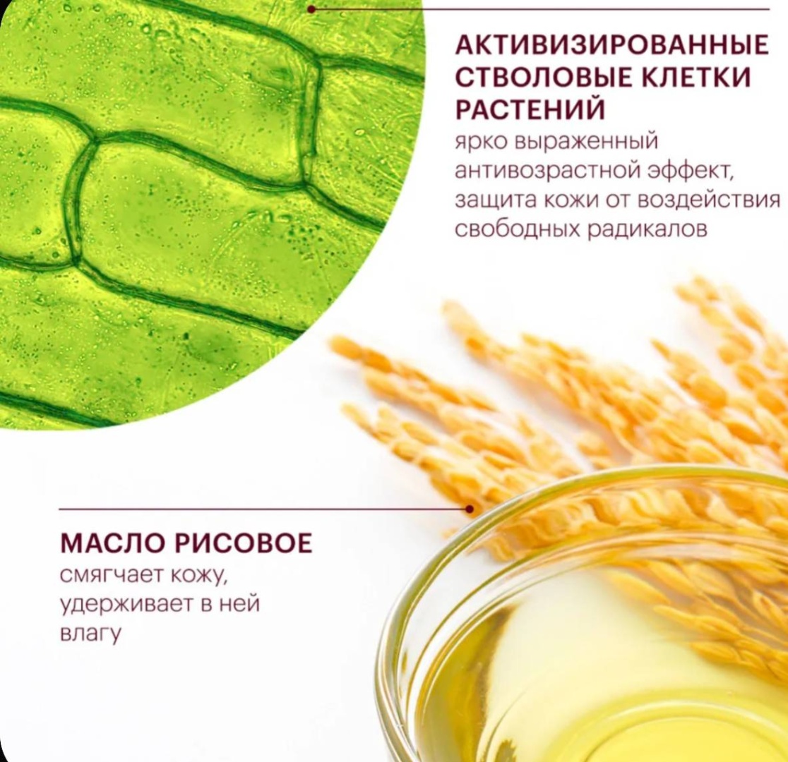 Librederm крем Стволовые клетки винограда Anti-age для лица, для зоны декольте 50 мл