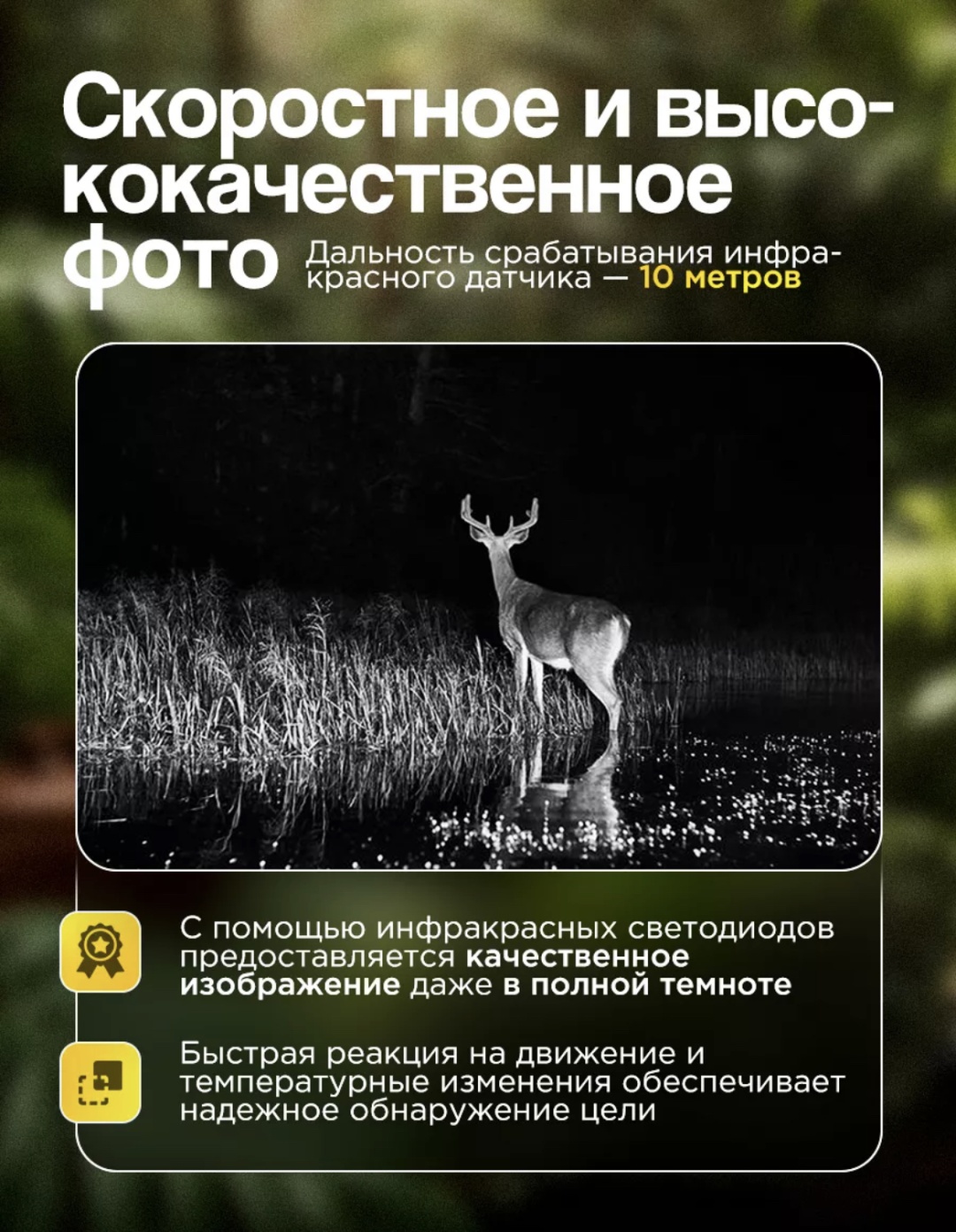 Фотоловушка 274181731