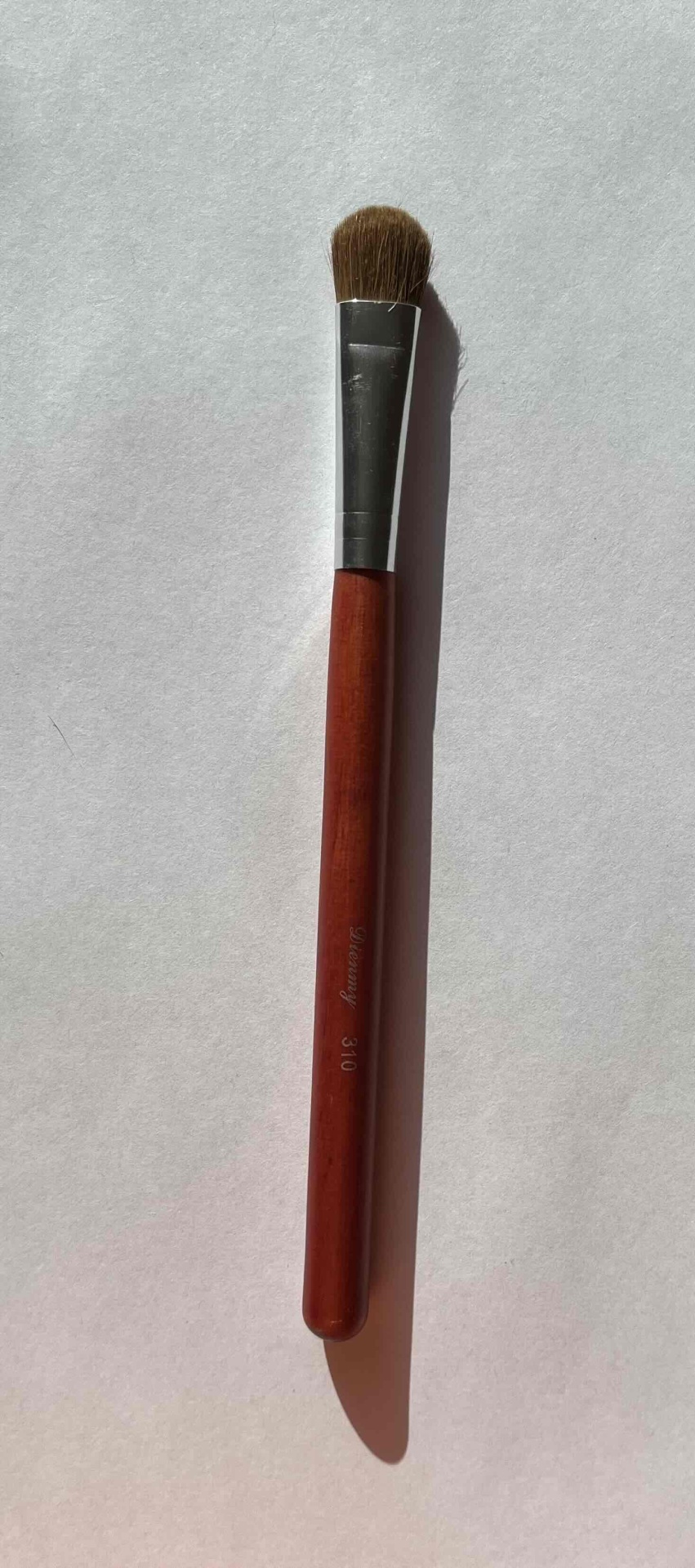 Dienmy 310 1