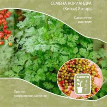 Биолюкс кориандр Янтарь