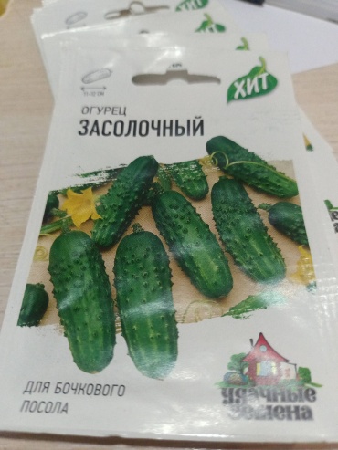 Удачные семена огурец Засолочный