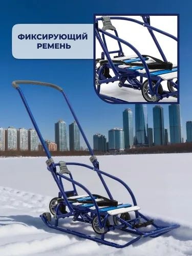 Санки Ch03 синий