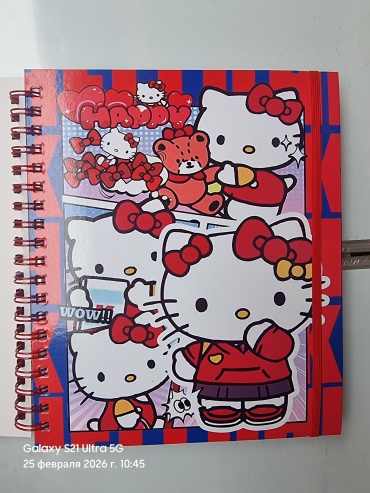Раскраска Расскраска HELLO KITTY мультиколор