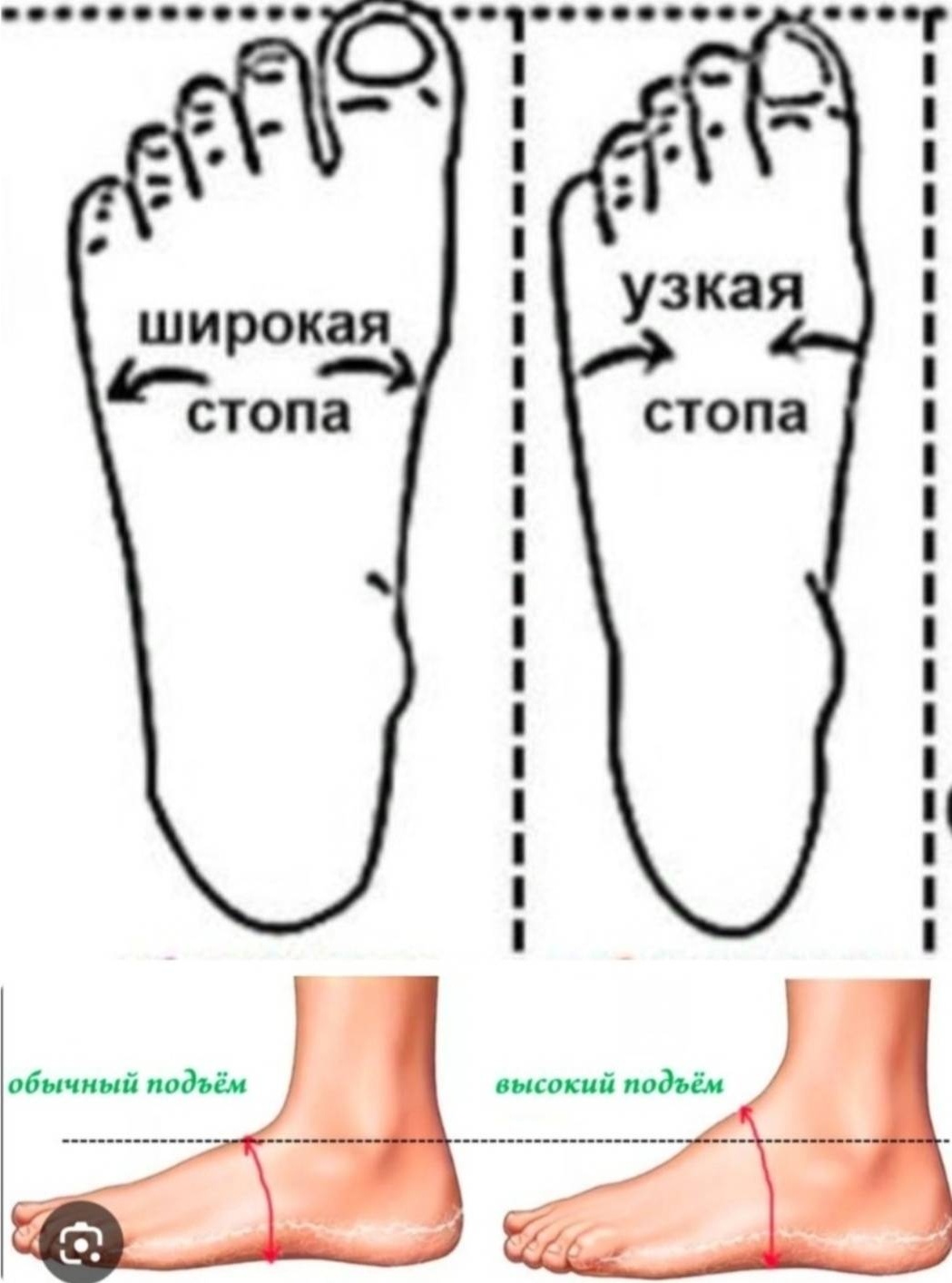 Тапочки TANAT мультиколор