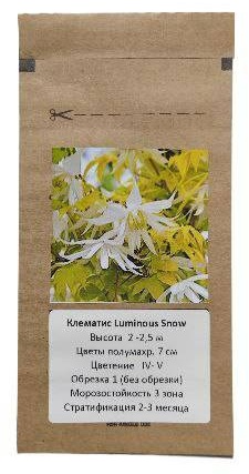 Клематис Luminous Snow