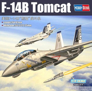 Американский истребитель-перехватчик F-14B Tomcat