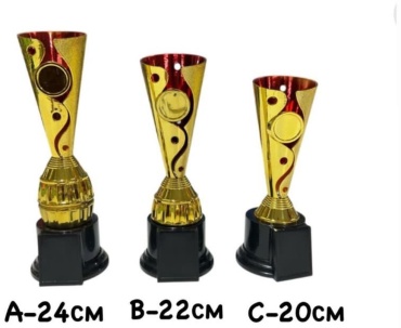 Кубок SPORTROOM