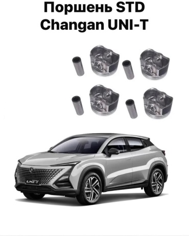 Changli поршень 1004011NE03
