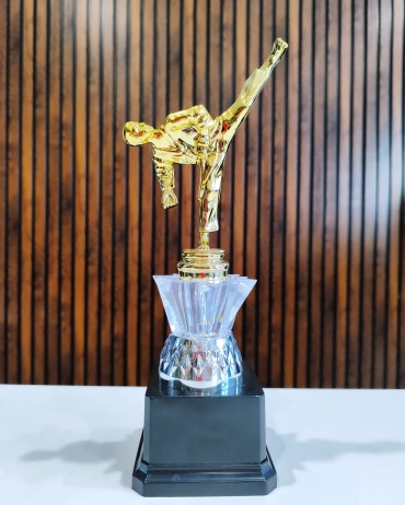 Golden Cup трофей "Карате Стойка Эксклюзив"