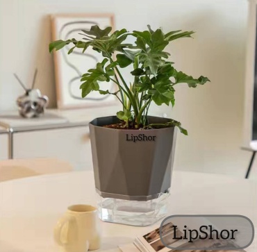 LipShor горшок для цветов с фитильным поливом 12 см серый, пластик
