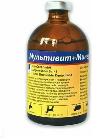 ImmCont Мультивит+Минералы витамины раствор 100 мл