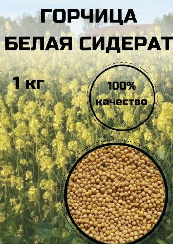 Мир семян горчица 2000 г