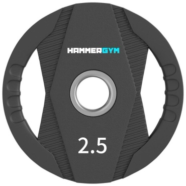 HAMMERGYM OK2030C-2.5 2.5 кг