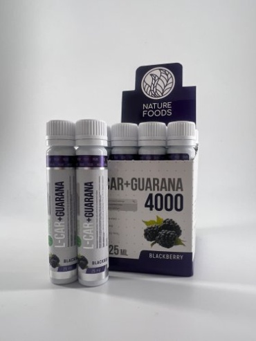 Предтренировочный комплекс Nature Foods L-Carnitine + Guarana 4000мг Ежевика 25 мл
