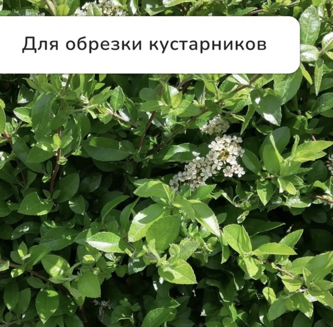 Секатор Elegant 36 cm