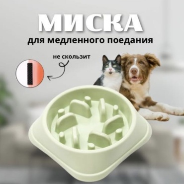 Миска