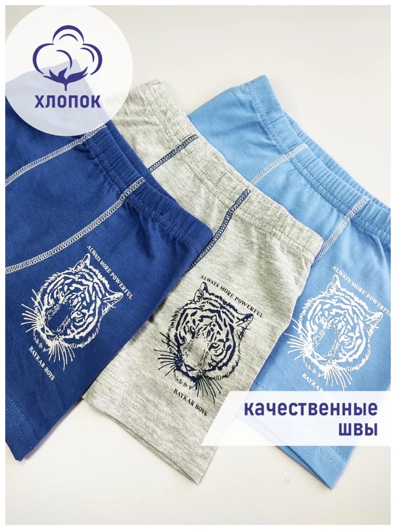 Боксеры мультиколор