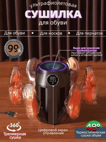 12295020_031357257 черный, фиолетовый