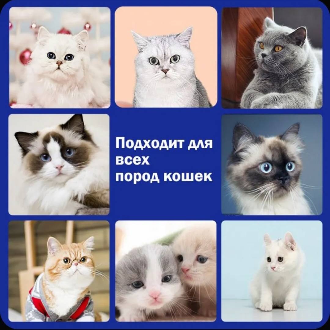 Лакомство Паштет лосось 16 г 10 шт