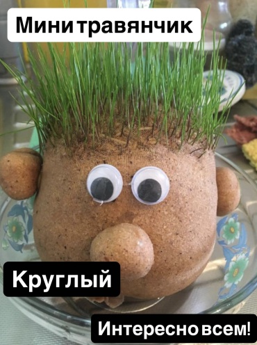 Выращивание растений 30370553_762788938