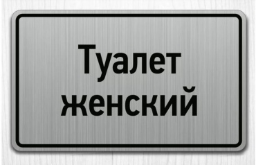 Табличка Женский туалет 20x12 см