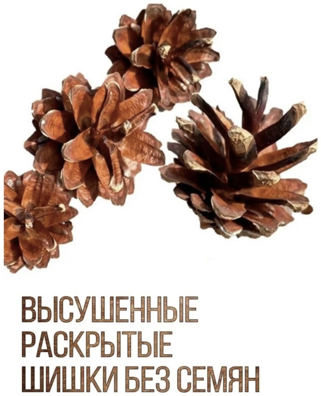 Шишки 6 см