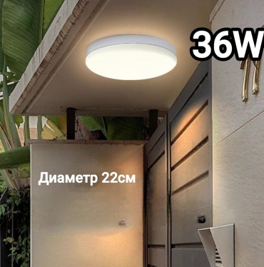Уличный светильник настенно-потолочный LOBRUN 36 Вт 3.5 см