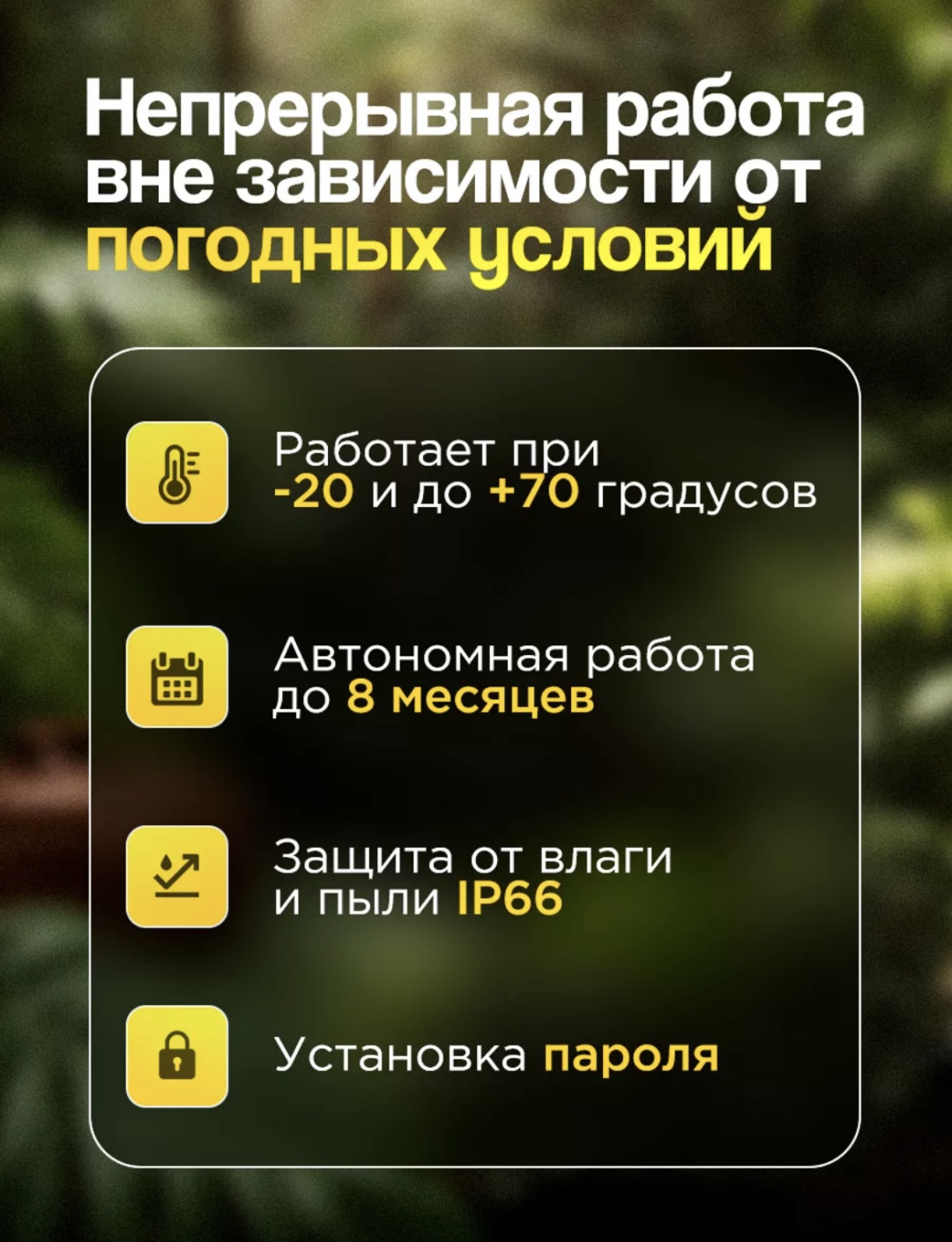 Фотоловушка 274181731