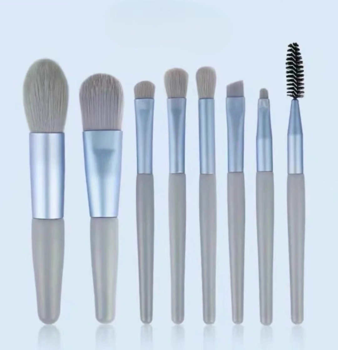 Кисти PackBlue 8