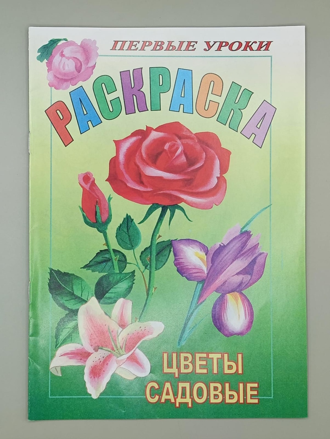 Раскраска Цветы
