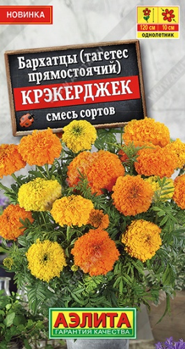 Аэлита бархатцы крзкерджек