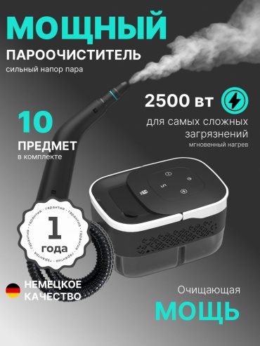 Пароочиститель Elogios Premier ES01 черный