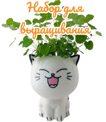Фарфоровая кошечка