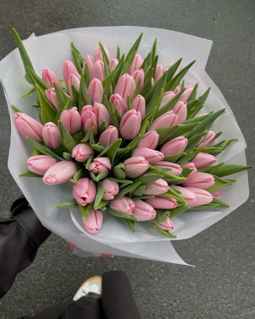 Тюльпан