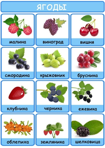 Постер Фрукты Ягоды, A4, фотобумага