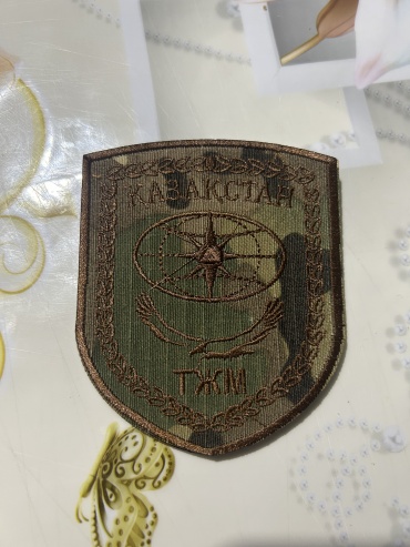 Шеврон Мчс Рк кз