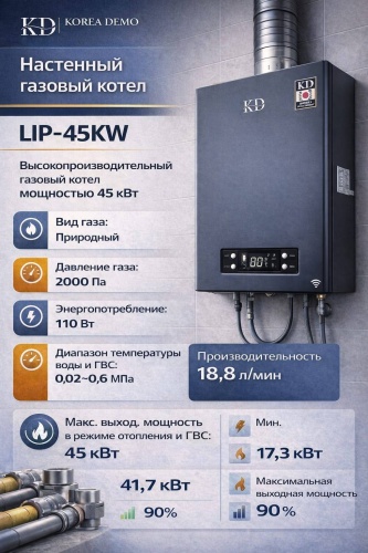 Газовый котел LP45W с дымоходом