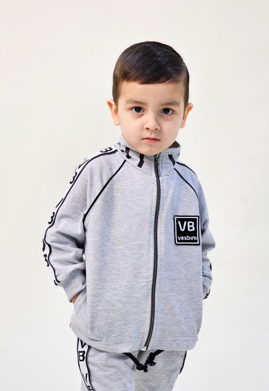 Vesbini серый