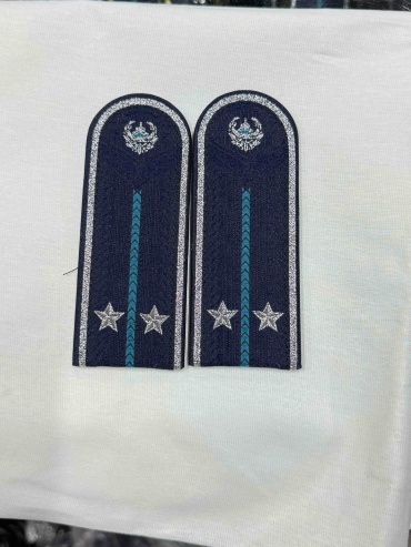 ПогоныМВД