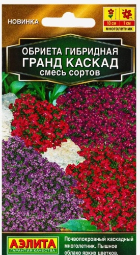Аэлита обриета Гранд Каскад