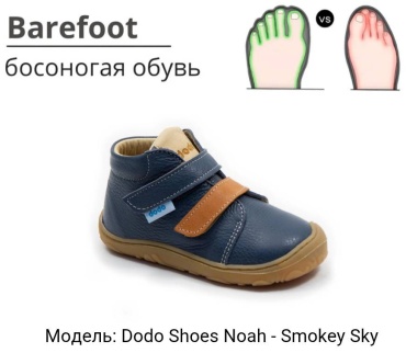 Ботинки Dodo Shoes темно-синий