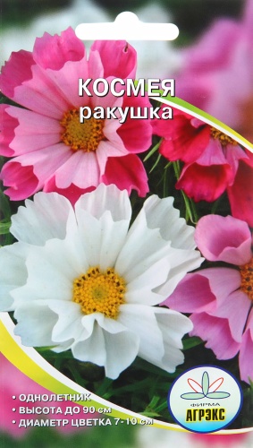 Агрэкс космея РАКУШКА