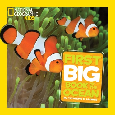 Catherine D. Hughes: National Geographic kids. Little kids first big book of Ocean