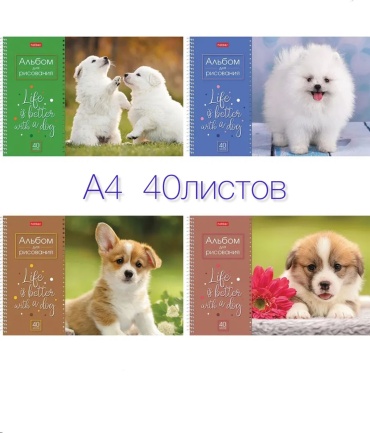 Альбом для рисования А4 40 л.
