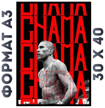Картина Chama 40x30 см