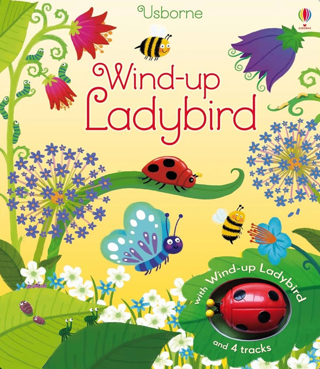 Книга Usborne: Wind-Up Ladybird